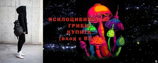 ПСИЛОЦИБИНОВЫЕ ГРИБЫ Аркадак
