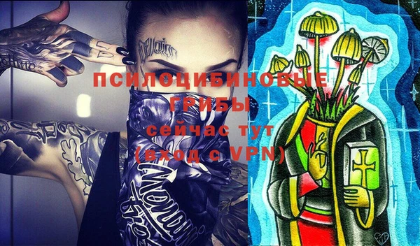 дмт Арсеньев