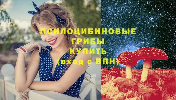 тгк Алексеевка