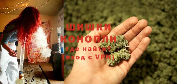 СК Тавда