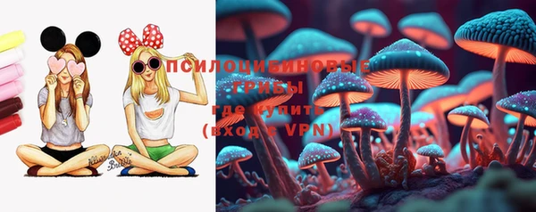 мдпв Армянск